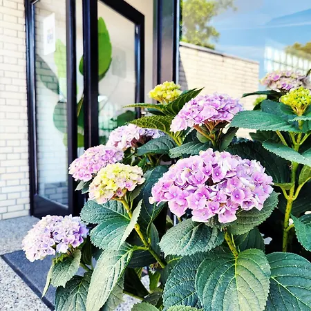 Moderne 1 Mit Sonnenterrasse Und Parkplatz, In Ruhiger Lage, Nur Wenige Gehminuten Zum Ostsee Sandstrand * 沙博伊茨